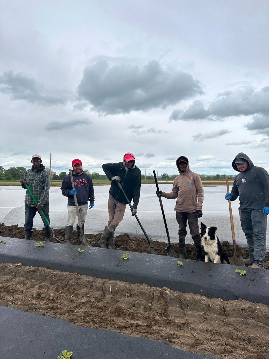 Some of our hardworking field crew!